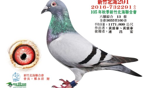 有结石的人需要注意些什么-权威有结石的人饮食方面要注意哪些平台,分享专业有结石平时生活上注意哪些知识_有结石怎么注意什么症状网